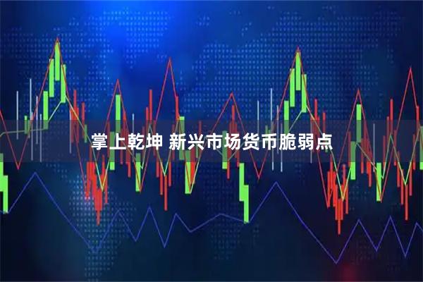 掌上乾坤 新兴市场货币脆弱点